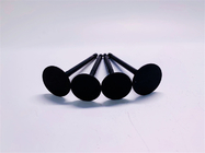 T4233393 Intake And Exhaust Valves